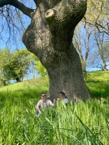 Wir genießen den Frühling und sitzen unter einer uralten, mächtigen Eiche.