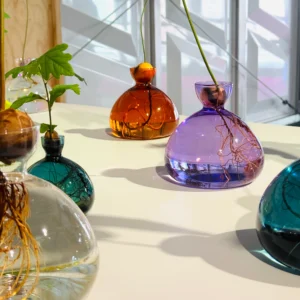 Die Avocado Vase und die Eichel Vase sind damit nicht nur Designobjekte, sondern Ausdruck einer Haltung – einer Wertschätzung für die Natur und für das stille Wunder des Wachsens.