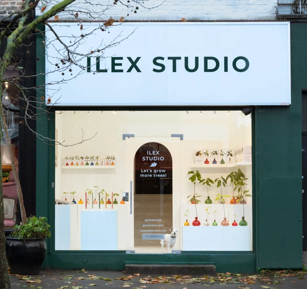 Ilex Studio in London